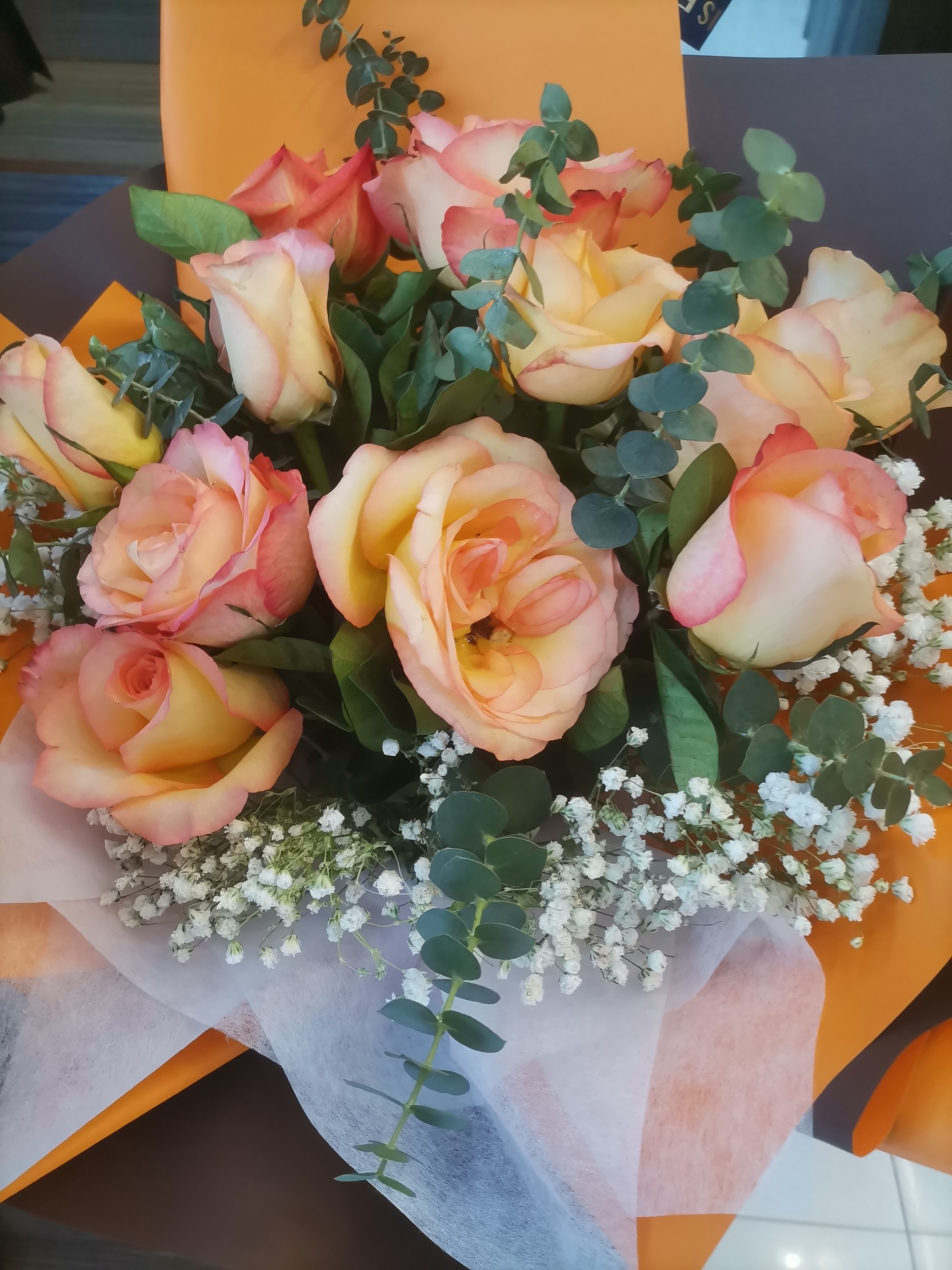 红龙poker官网-全新玩家福利计划,助你快速融入扑克世界祝全体女员工节日快乐